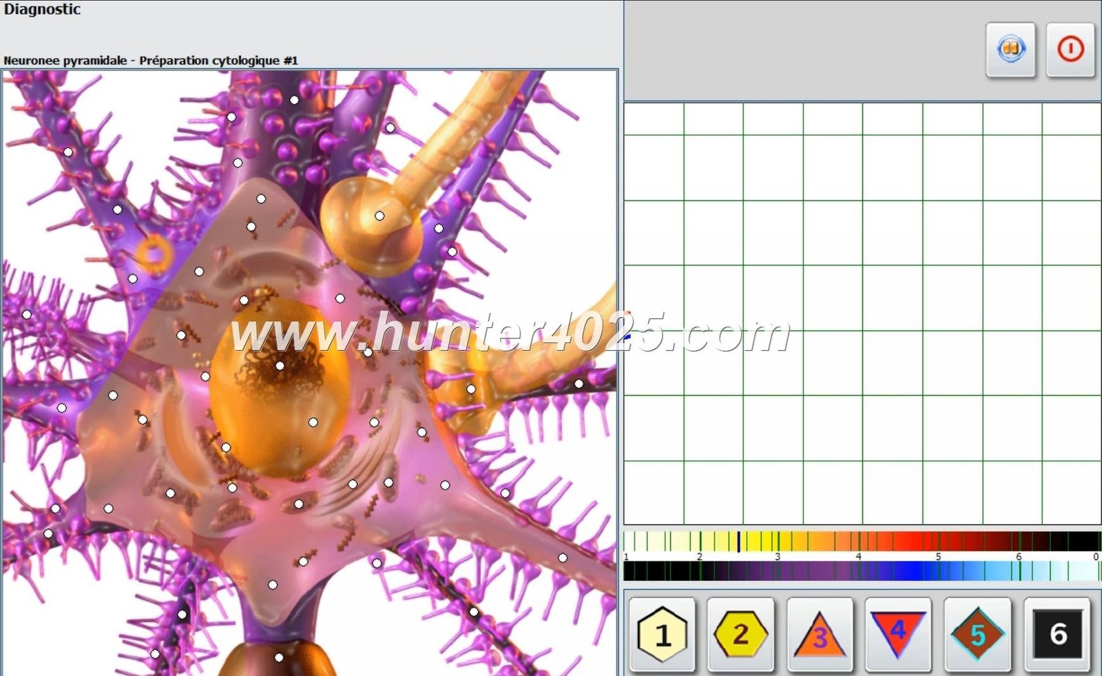 Metatron 4025 Precio