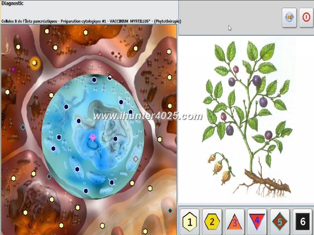 Metatron 4025 Metapathia GR Hunter