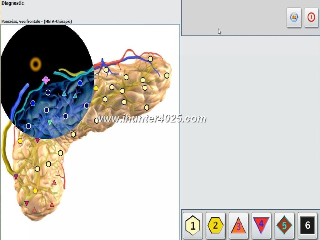 Metatron 4025 Metapathia GR Hunter