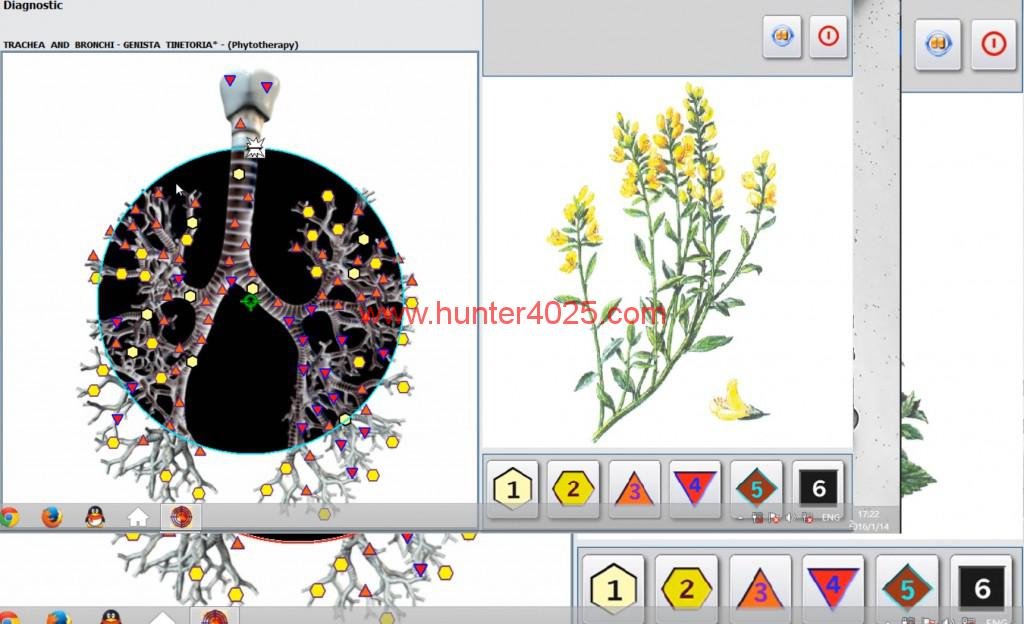Metatron 4025 Metapathia GR Hunter (39)