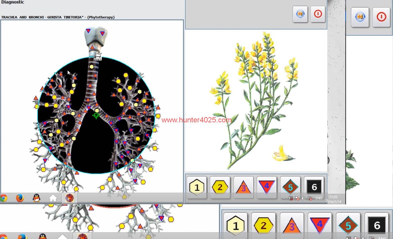 Metatron Hunter 4025 en Argentina