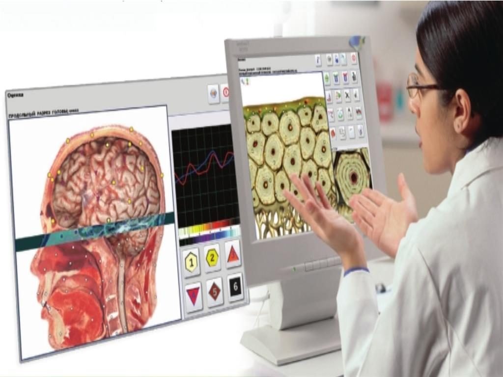 Metatron Hunter 4025 Colombia