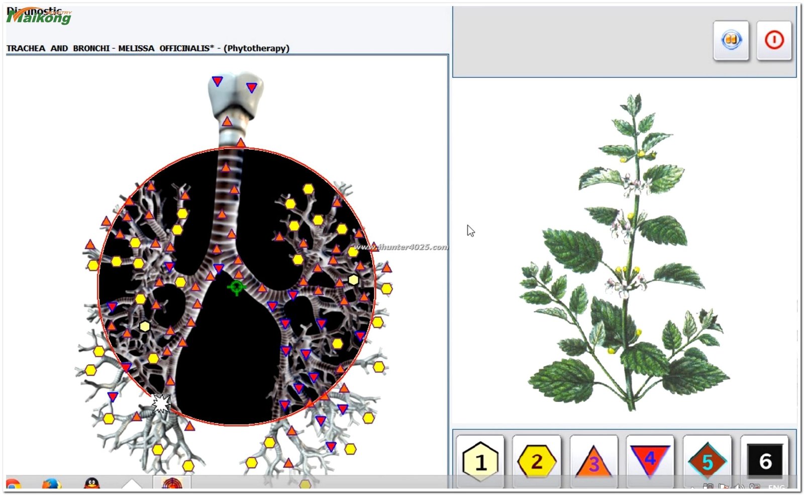 software Metatron Hunter 4025 NLS