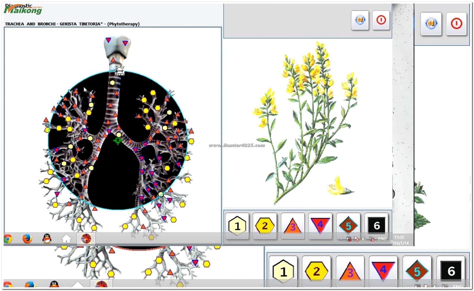 software Metatron Hunter 4025 NLS