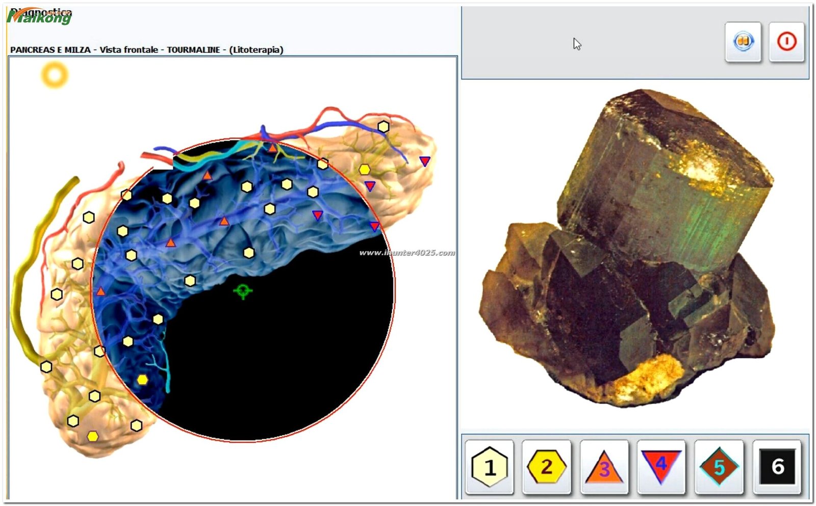 Dispositivo Metatron Hunter 4025 NLS mostrando el modo terapia en pantalla