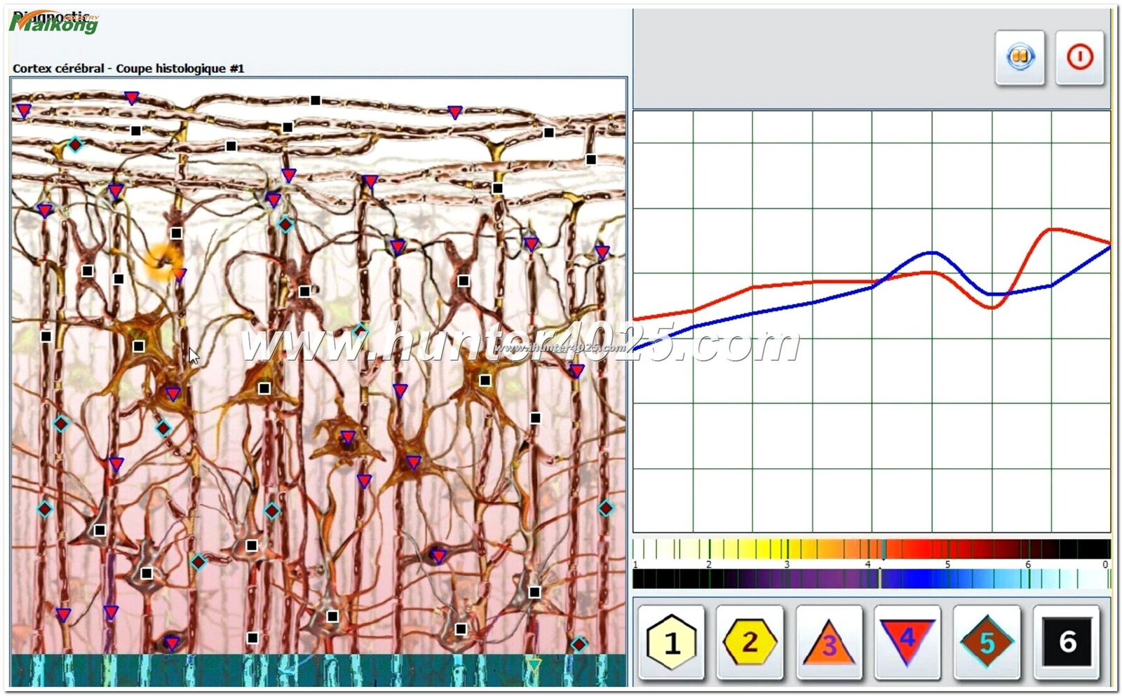 Metatron Hunter 4025 NLS