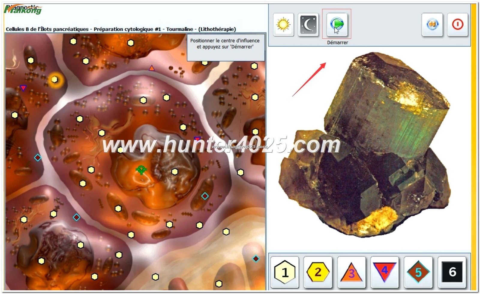 informes del software Metatron Hunter 4025 NLS