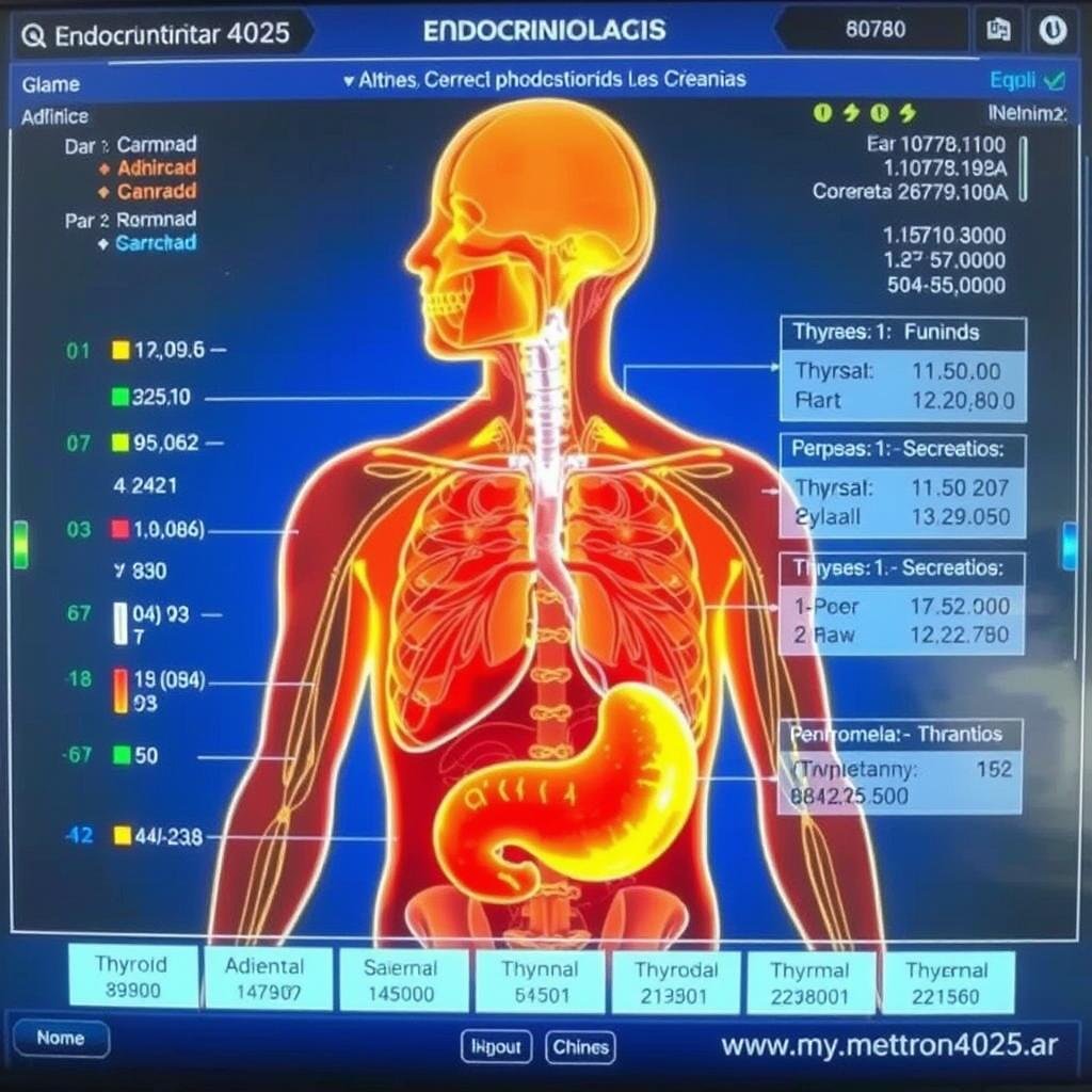 Análisis del sistema endocrino con Metatron Hunter 4025