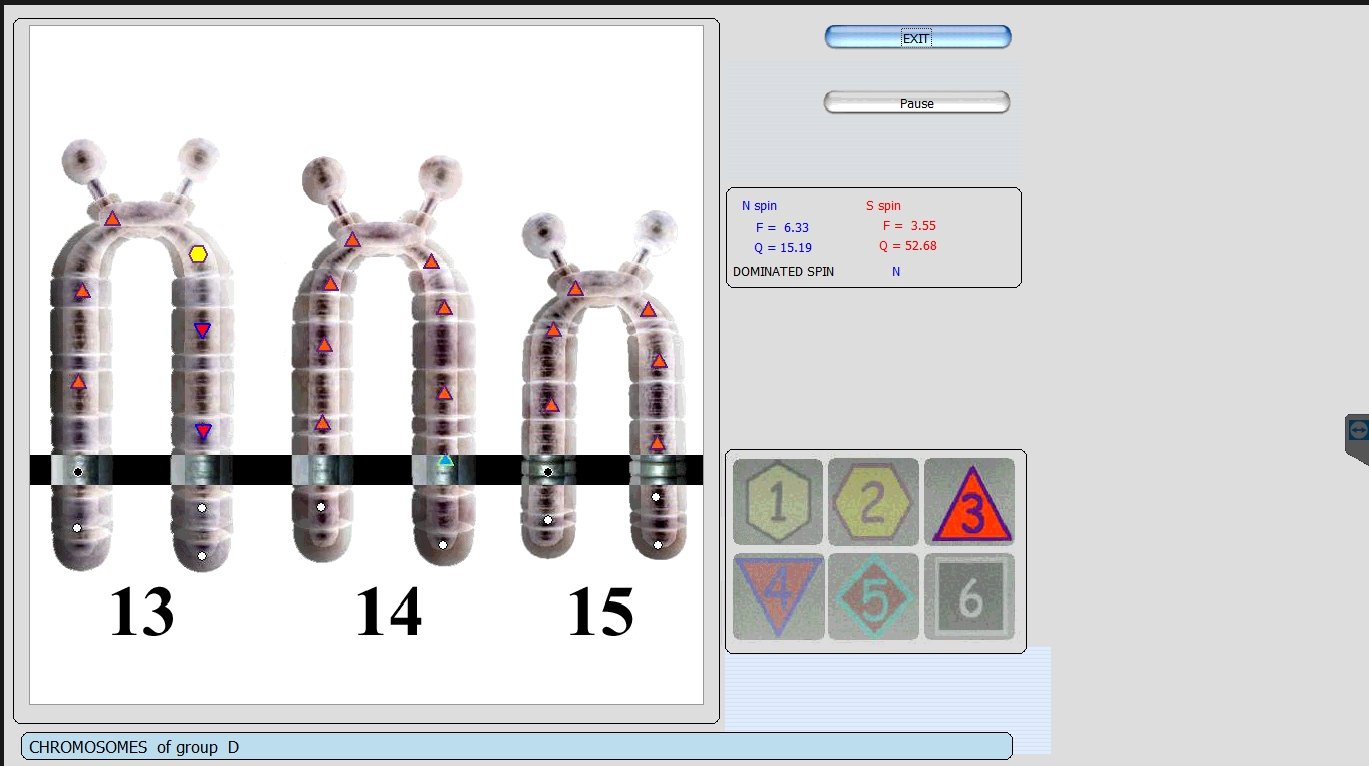 sesión Metatron Hunter 4025 NLS