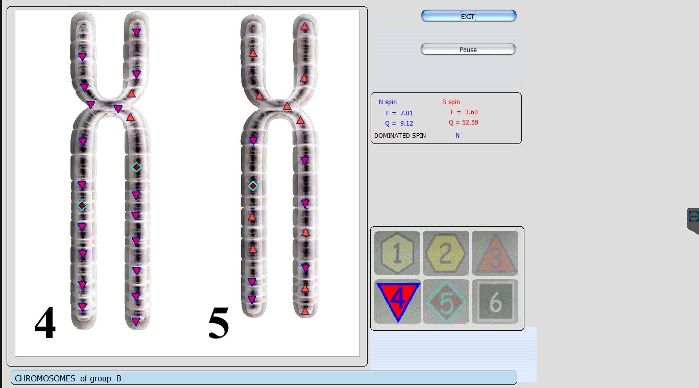sesión Metatron Hunter 4025 NLS