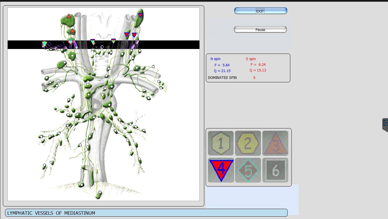 Metatron Hunter 4025 NLS en Estética