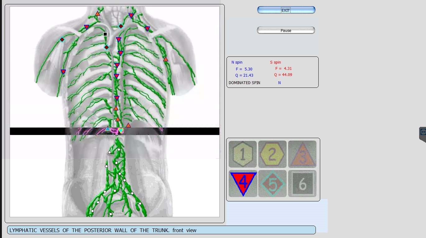 Metatron Hunter 4025 NLS en Estética