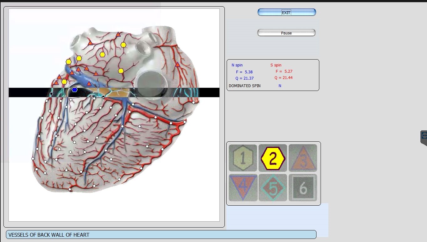 Metatron Hunter 4025 NLS en Estética