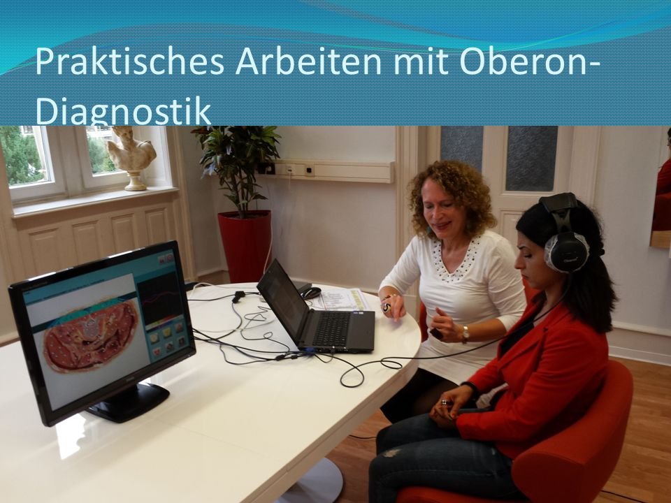 Metatron Hunter 4025 NLS