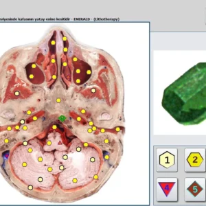 Biophilia Intruder NLS: ¿qué significa “escaneo más rápido” para profesionales de terapias complementarias en Argentina? — MAIKONG Hunter 4025 Metatron (4961).jpg